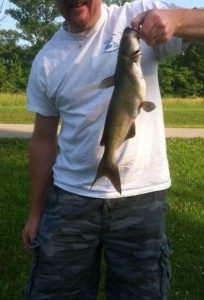 Catfish