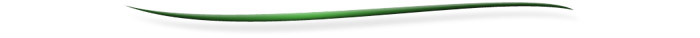 linedivider