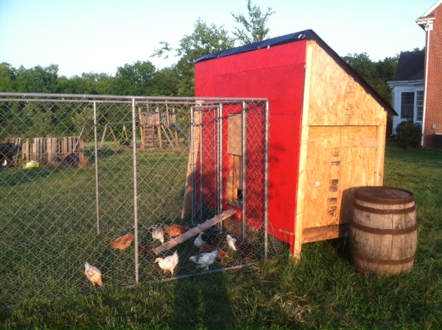 Chicken coop