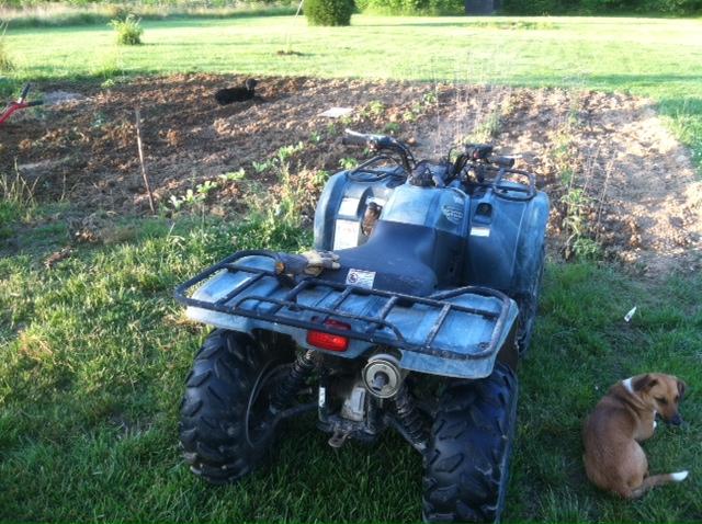 Planted garden