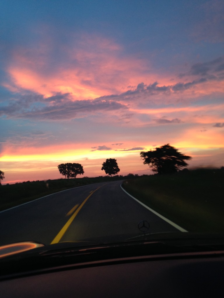 DrivingSunset